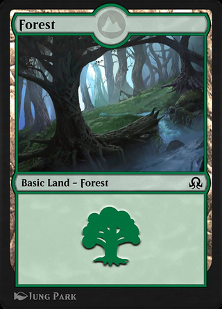 Forest image