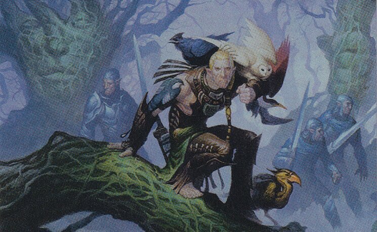 Elvish Vanguard Crop image Wallpaper