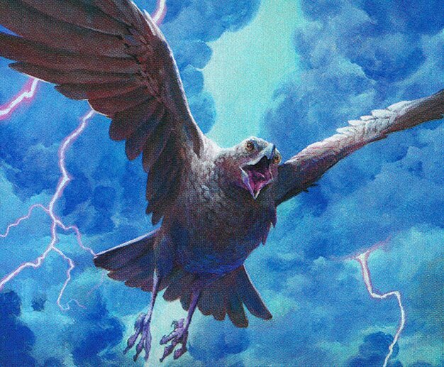 Storm Crow Crop image Wallpaper
