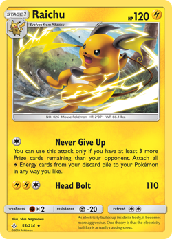 Raichu UNB 55 image