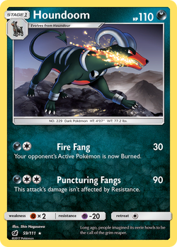 Houndoom CIN 59 image