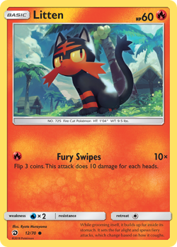 Litten DRM 12 image