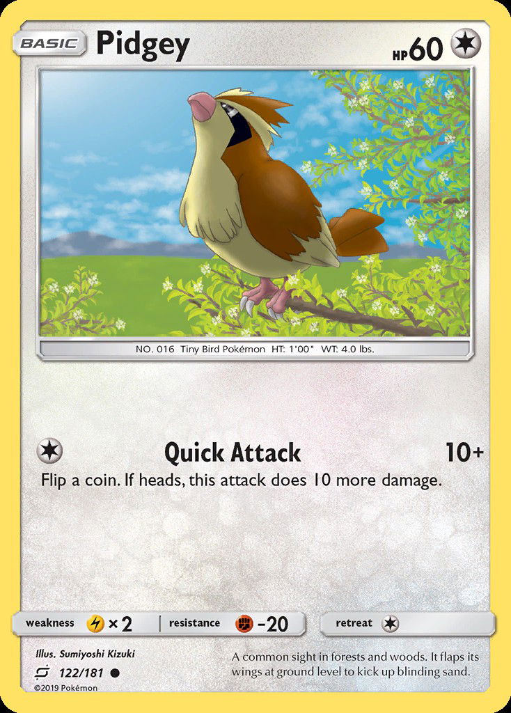 Pidgey TEU 122 Crop image Wallpaper