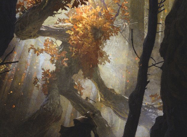 Autumnal Gloom // Ancient of the Equinox Crop image Wallpaper