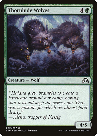 Thornhide Wolves image