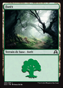 Forêt