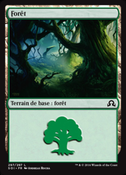 Forêt