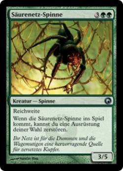 Säurenetz-Spinne image