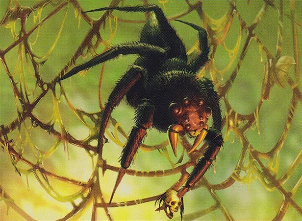 Acid Web Spider Crop image Wallpaper