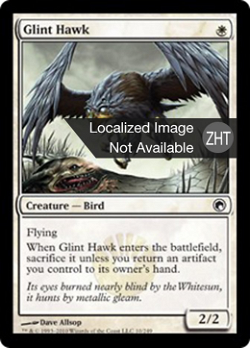 Glint Hawk image