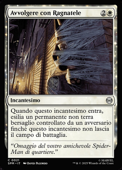 Avvolgere con Ragnatele image