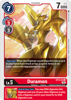 Duramon ST13-04 image