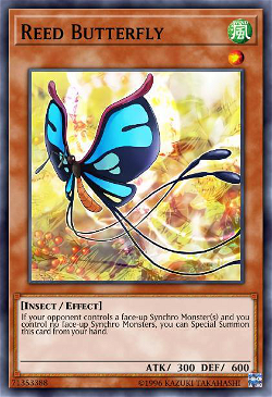 Papillon de Roseaux