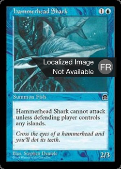 Requin marteau image