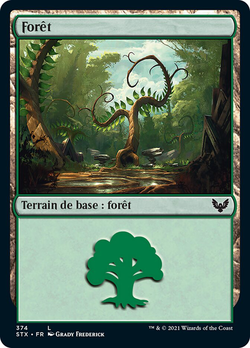 Forêt