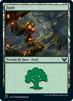 Forêt