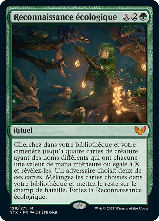 Ecological Appreciation Full hd image