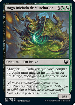 Mago Jurídico Murchaflor