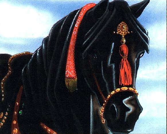 Ebony Horse Crop image Wallpaper