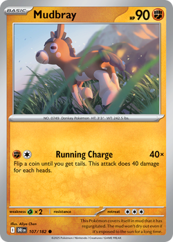 Mudbray DRI 107 image