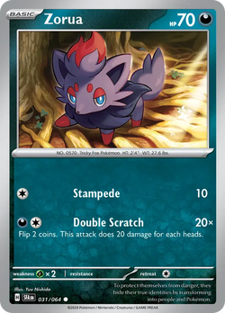 Zorua SFA 31