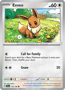 Eevee SCR 113 image