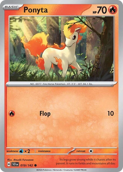 Ponyta SCR 19