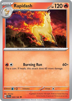 Rapidash SCR 20 image