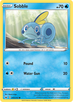 Sobble SSH 55 translates to Salamèche SSH 55 in French. image