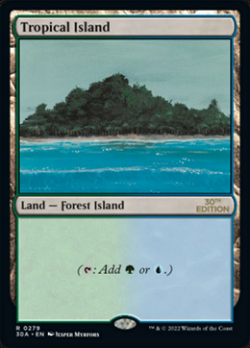 Tropical Island
熱帯の島
