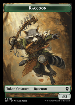Raccoon Token image