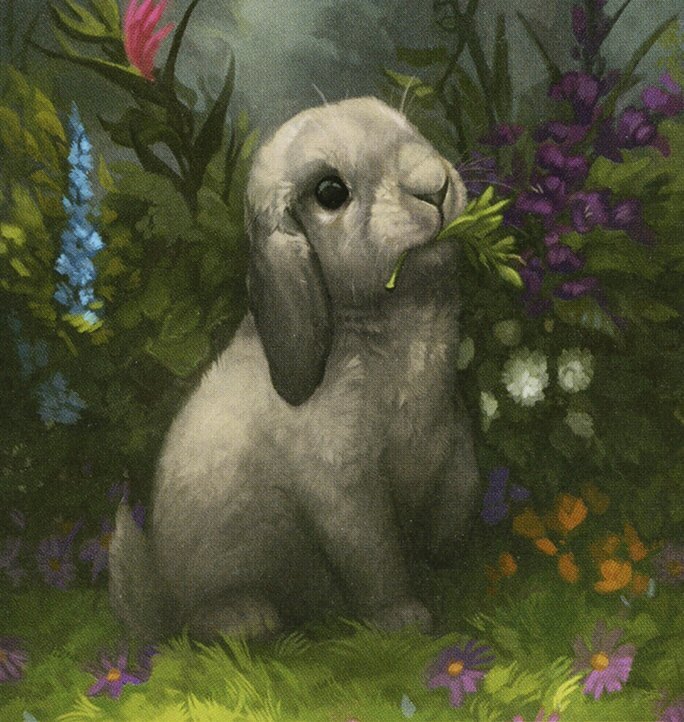 Rabbit Token Crop image Wallpaper