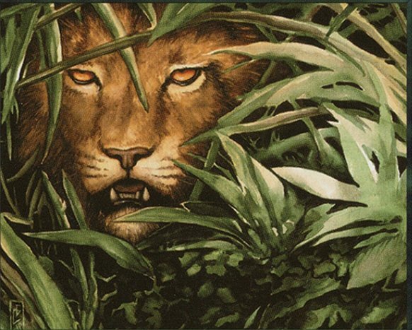 Jungle Lion Crop image Wallpaper