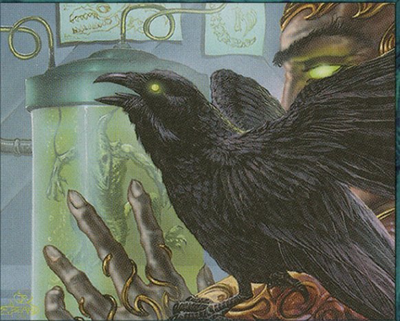 Raven Familiar Crop image Wallpaper