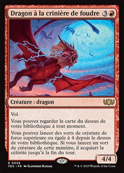 Dragon à la crinière de foudre image