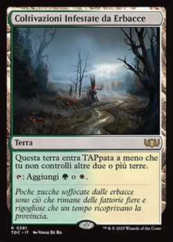 Coltivazioni Infestate da Erbacce image