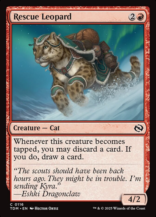 Rescue Leopard Full hd image