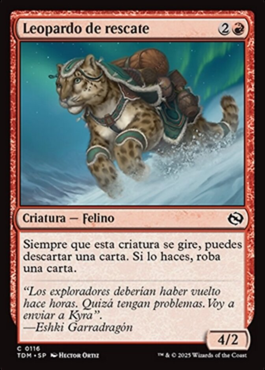 Rescue Leopard Full hd image