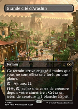 Grande cité d'Arashin image