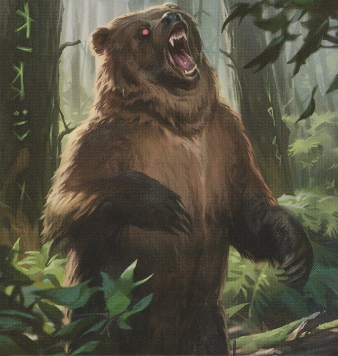 Bear Token Crop image Wallpaper