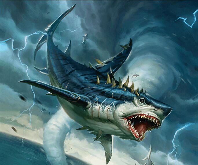 Shark Token Crop image Wallpaper