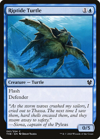 Riptide Turtle image