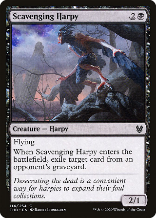 Scavenging Harpy image