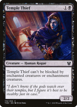 Temple Thief image
