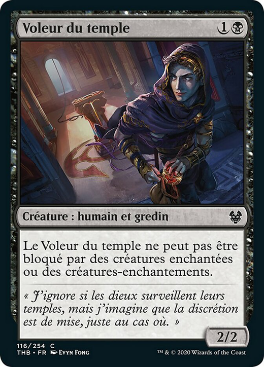 Voleur du temple image