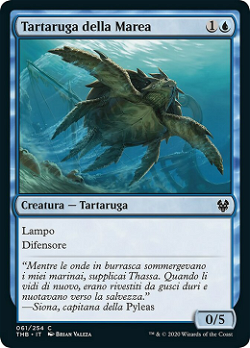 Tartaruga della Marea image