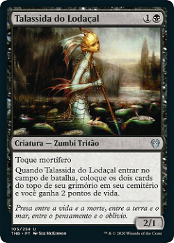 Talassida do Lodaçal image