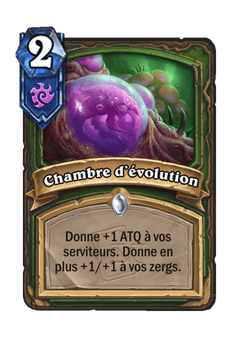 Chambre d'évolution