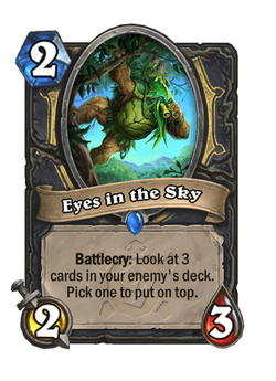Eyes in the Sky