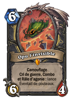 Opu l'invisible image